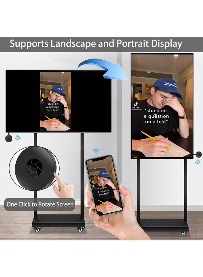 HAVEN HD Wireless Display Dongle Adapter, 4K 1080P Screen Mirroring Receiver WiFi Display Adapter for iOS Android Mac to TV Projector Monitor Presentation Support Miracast AirPlay DLNA Streaming - Image 2